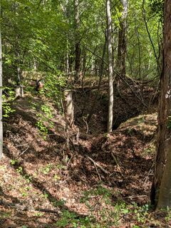 Photo de Martina Braunstein-Lamatsch le long du parcours