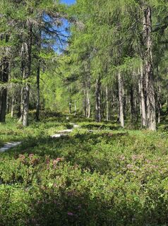 Photo de Florian Dürnegger le long du parcours