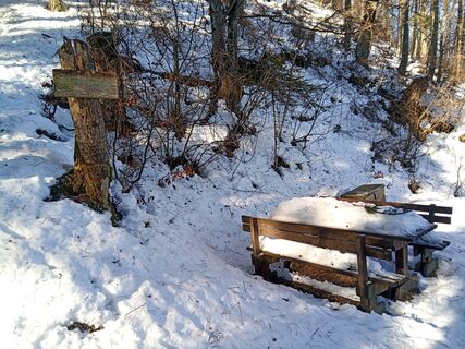 Photo de Wanderkatze le long du parcours