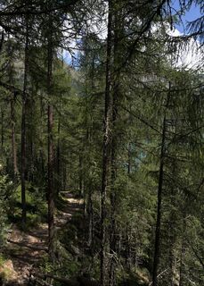 Photo de Massimiliano Cavallin le long du parcours