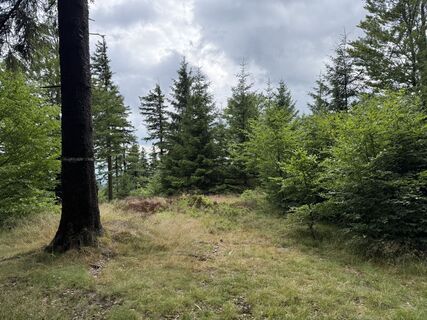 Fotó a Franz honlapról a túra során