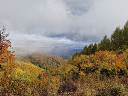 Fotografija s spletne strani Monika Mezővári na poti