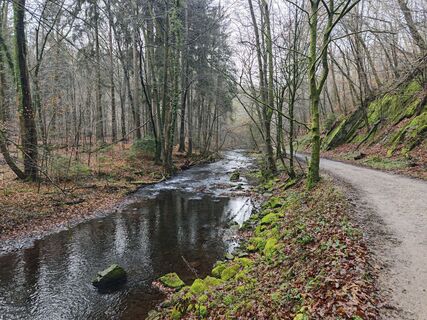 Fotografia z Björn Heun na trase