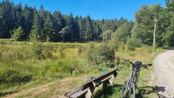Foto de Peter Østergaard a lo largo del recorrido