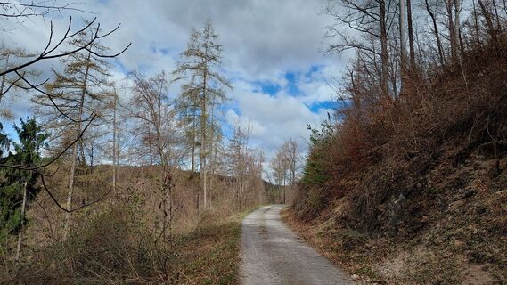 Foto von Wolfgang Arlic 1 entlang der Tour