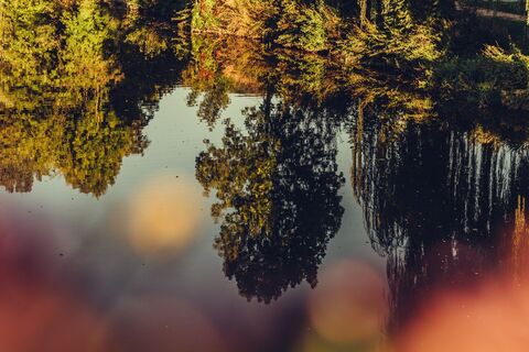 Spiegelung im Kocher | HeilbronnerLand