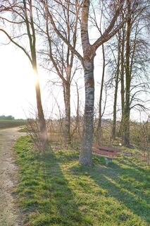 Foto von ceiby entlang der Tour