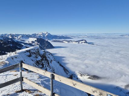 Foto von Thomi W entlang der Tour