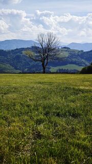 Foto von stephan heimel 1 entlang der Tour