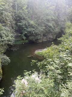 Foto de Daniel Dziubek a lo largo del recorrido