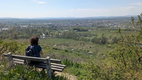 Foto de Edero a lo largo del recorrido