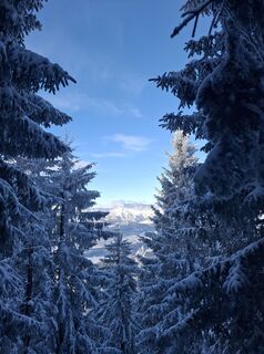 Foto de Günther Forsthuber a lo largo del recorrido
