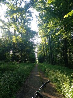 Abstecher Radtour in den Bexter Wald