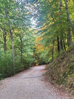 Foto från Erwin Maier under resans gång
