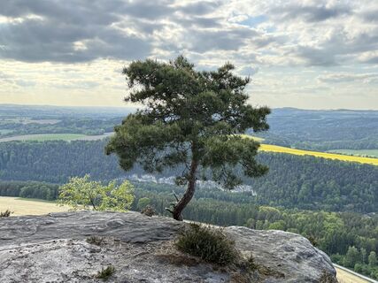 Fotó a Norbert Herbig honlapról a túra során