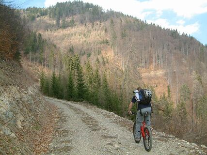 Auffahrt Gschwendtberg Frohnleiten