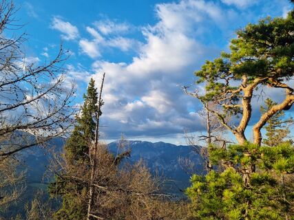 Foto de Christina Fröhlich a lo largo del recorrido