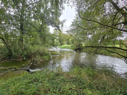 Foto von fitzingu entlang der Tour