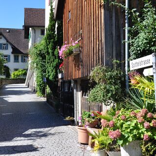 Mitten durchs malerische Weesen