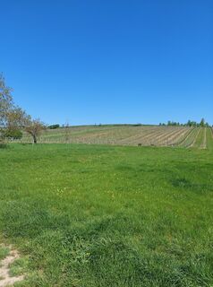 Fotografia z catherina na trase