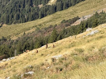 Foto von Natur_erleben_dg entlang der Tour