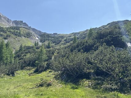 Fotografia z Grizzli na trase