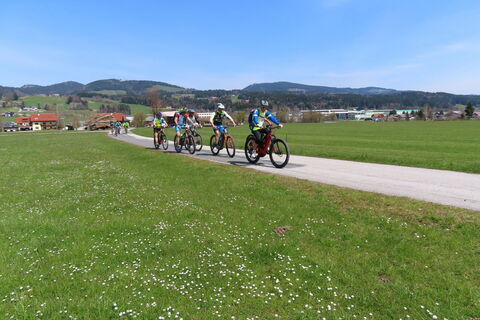 in Thalgau Oberdorf