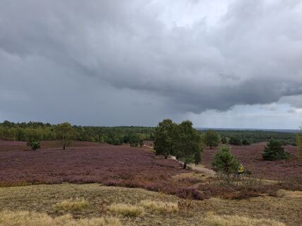 Foto von nordbergschnecke entlang der Tour