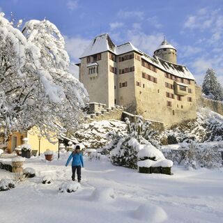 Winterwandern im Schlosspark Matzen