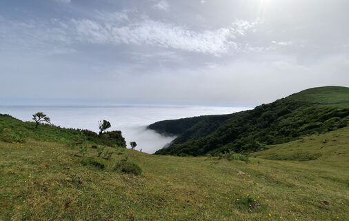 Photo de Petra Poslusny le long du parcours