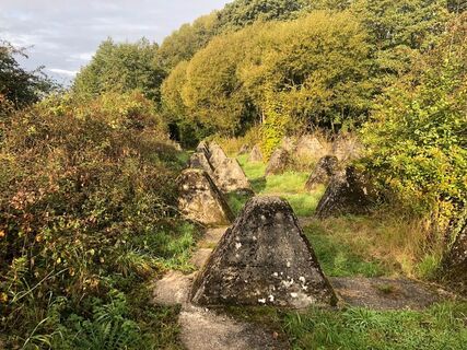 Höckerlinienweg bei Orscholz
