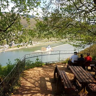 Traumschleifchen Pfalzblick - Sauzahn und Burg Pfalzgrafenstein