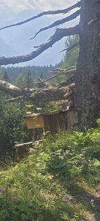 Foto von Windga entlang der Tour