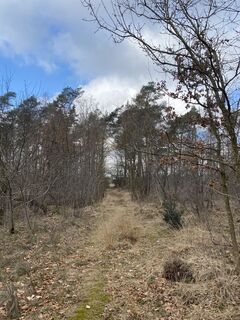 Foto de Roy de Vries a lo largo del recorrido