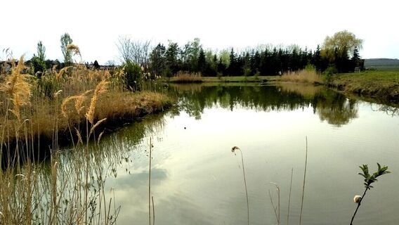 Watzelsdorf Wasserwelt