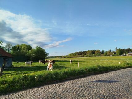 Foto von Maja Kutschera entlang der Tour