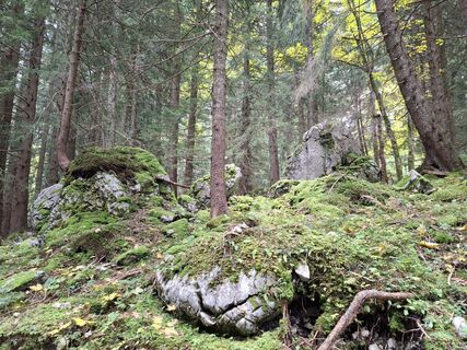 Zdjęcie z Maurer Silvia wzdłuż trasy