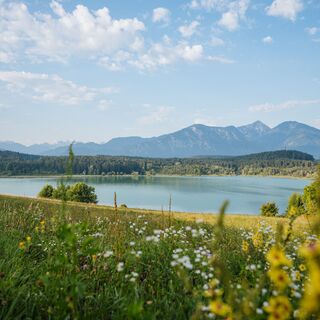 Den Turnersee und im Hintergrund den Hochobir