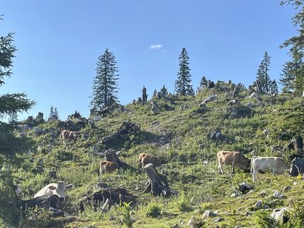Fotografija s spletne strani Helmut Wieseneder na poti