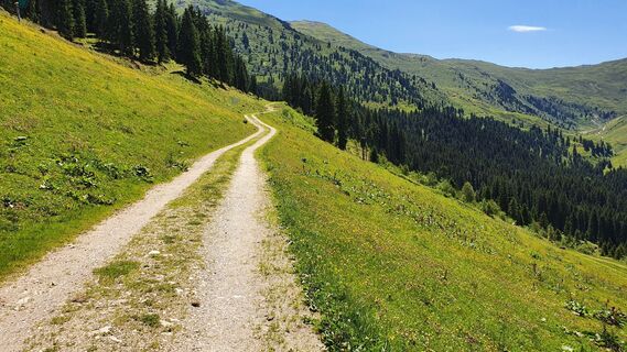 Photo de Gerrit van der Linde le long du parcours