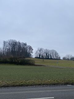 Photo de Christian Mark le long du parcours