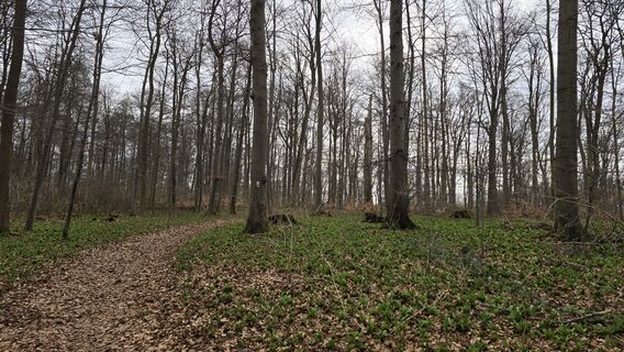 Foto von Katja Senkel entlang der Tour