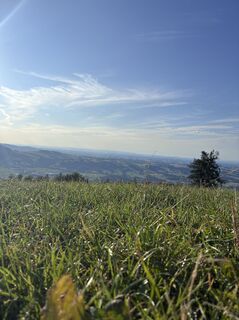 Foto de Alexandra Wasserbauer a lo largo del recorrido