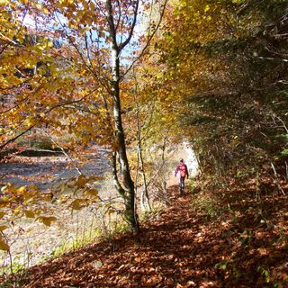 Sackau - Schwarzwasser-Sense-Schluchtenweg Etappe 1