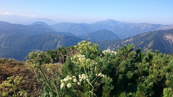 Ausblick beim Anstieg