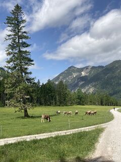 Photo de Robert.Unterlercher le long du parcours