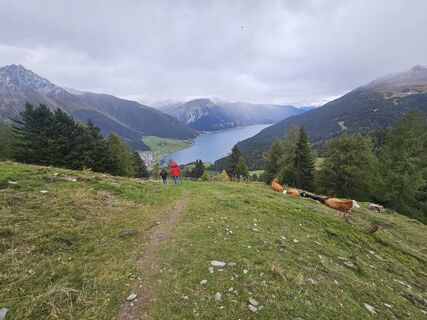 Foto de Peter Reinhart 1 a lo largo del recorrido