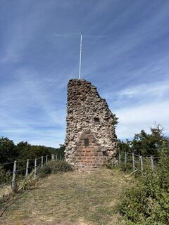 Foto von Martin Kößler entlang der Tour