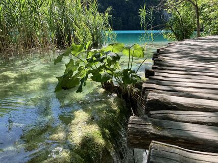 Fotografie z Klaus Grambichler na trase