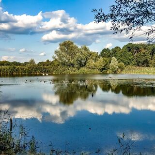 muenster-rieselfelder-see-01